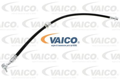 VAICO V38-0462