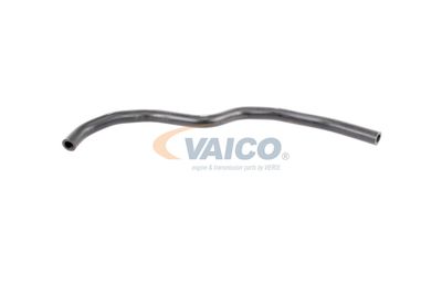 VAICO V48-0223