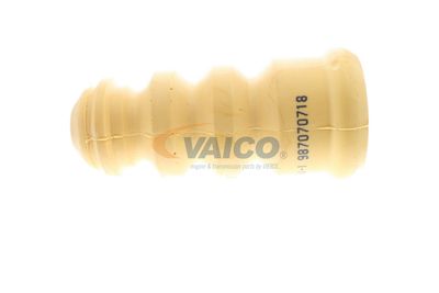 VAICO V10-6034-1