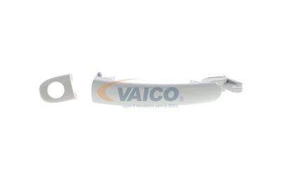 VAICO V10-6161