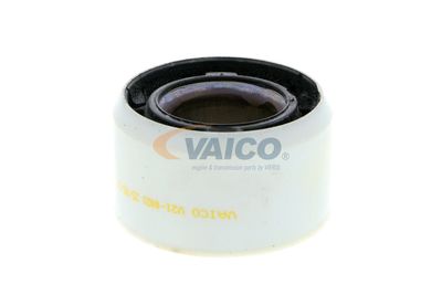 VAICO V21-0021