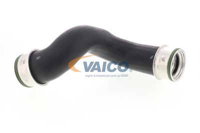 VAICO V10-2842