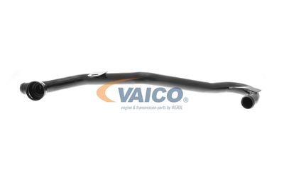 VAICO V10-5952