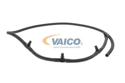 VAICO V20-3600