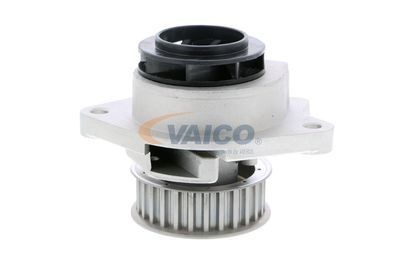 VAICO V10-50036-1