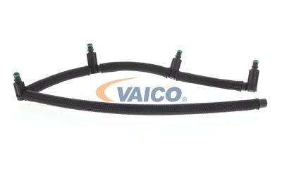VAICO V20-3611