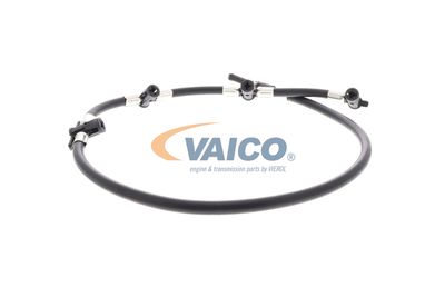 VAICO V30-3343