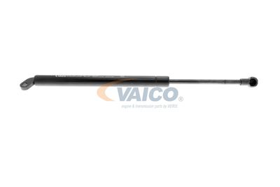 VAICO V20-1004