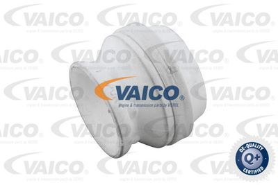VAICO V38-0489