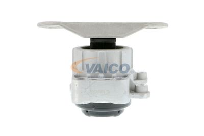 VAICO V25-0631