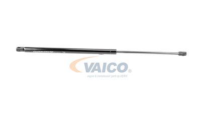 VAICO V48-0119
