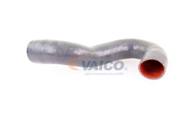 VAICO V10-3784