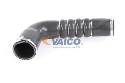 VAICO V10-3794