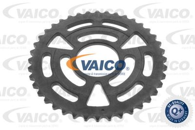 VAICO V20-3170