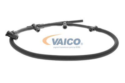 VAICO V20-3604