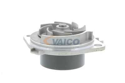 VAICO V24-50017