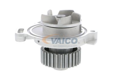 VAICO V10-50031