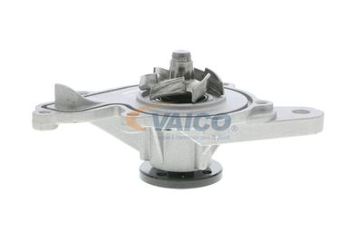VAICO V30-50055