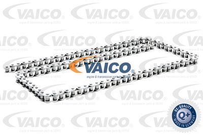 VAICO V30-0608