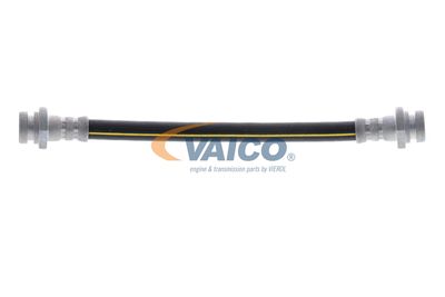 VAICO V46-1017