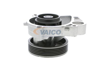 VAICO V20-50033