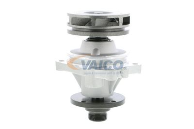 VAICO V20-50012