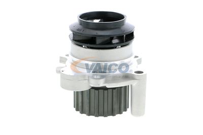 VAICO V10-50001-1