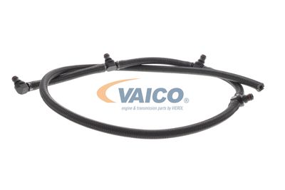 VAICO V20-3602