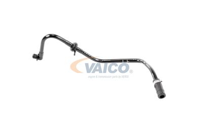 VAICO V103604 VAICO V103604