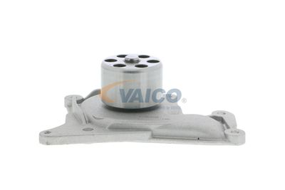 VAICO V46-50019