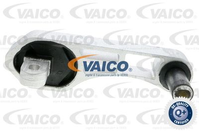VAICO V42-0484