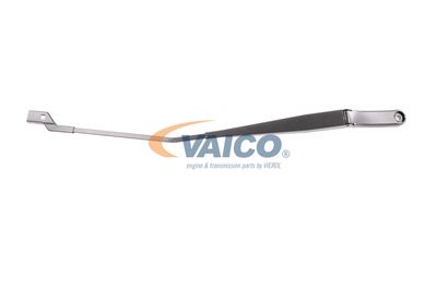 VAICO V10-2019