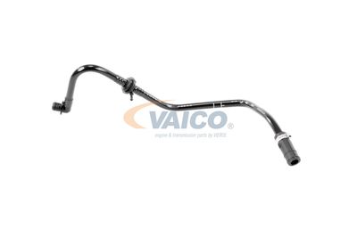 VAICO V103604 VAICO V103604