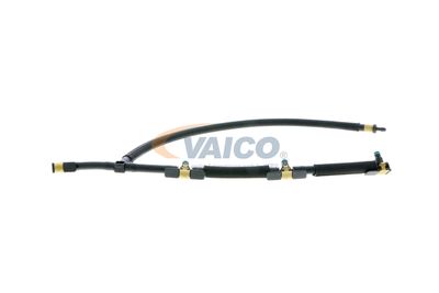 VAICO V10-5503