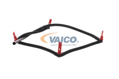 VAICO V22-0809