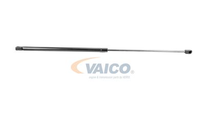 VAICO V52-0024