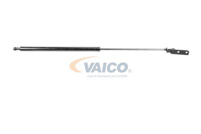 VAICO V64-0051