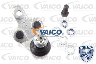 VAICO V70-0296