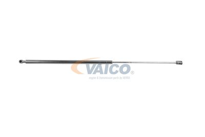 VAICO V50-0038