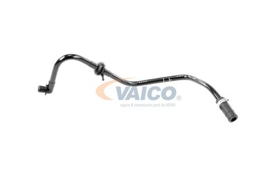 VAICO V103604 VAICO V103604