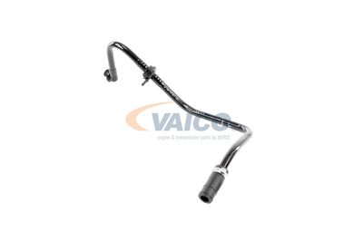 VAICO V103604 VAICO V103604