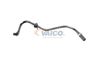 VAICO V103604 VAICO V103604