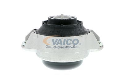 VAICO V30-1205-1
