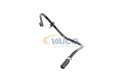 VAICO V103604 VAICO V103604