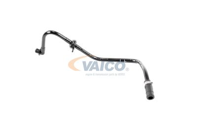 VAICO V103604 VAICO V103604