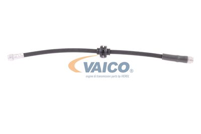 VAICO V30-0613