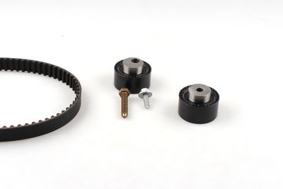 HEPU 20-1124
