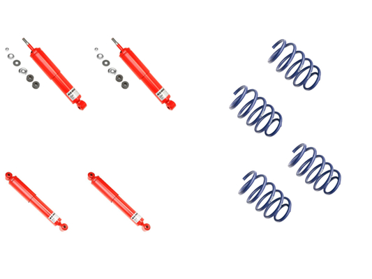 KONI 1300-1001 KONI 1300-1001