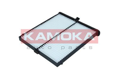 KAMOKA F418601 KAMOKA F418601