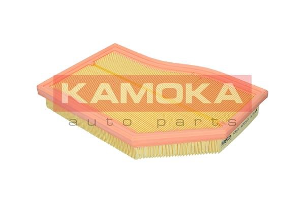 KAMOKA F255801